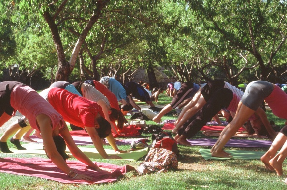 Yoga de graça no meio do parque. Olympus OM-10 + Fuji Velvia 100