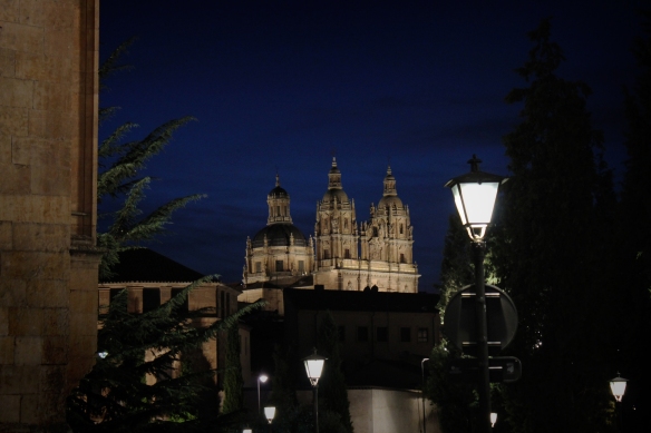 Catedral vista de noite!